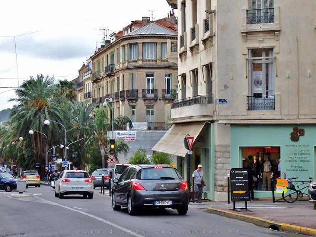 183 HYERES ET SES PALMIERS D14_000025.jpg